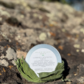 Comfrey Salve