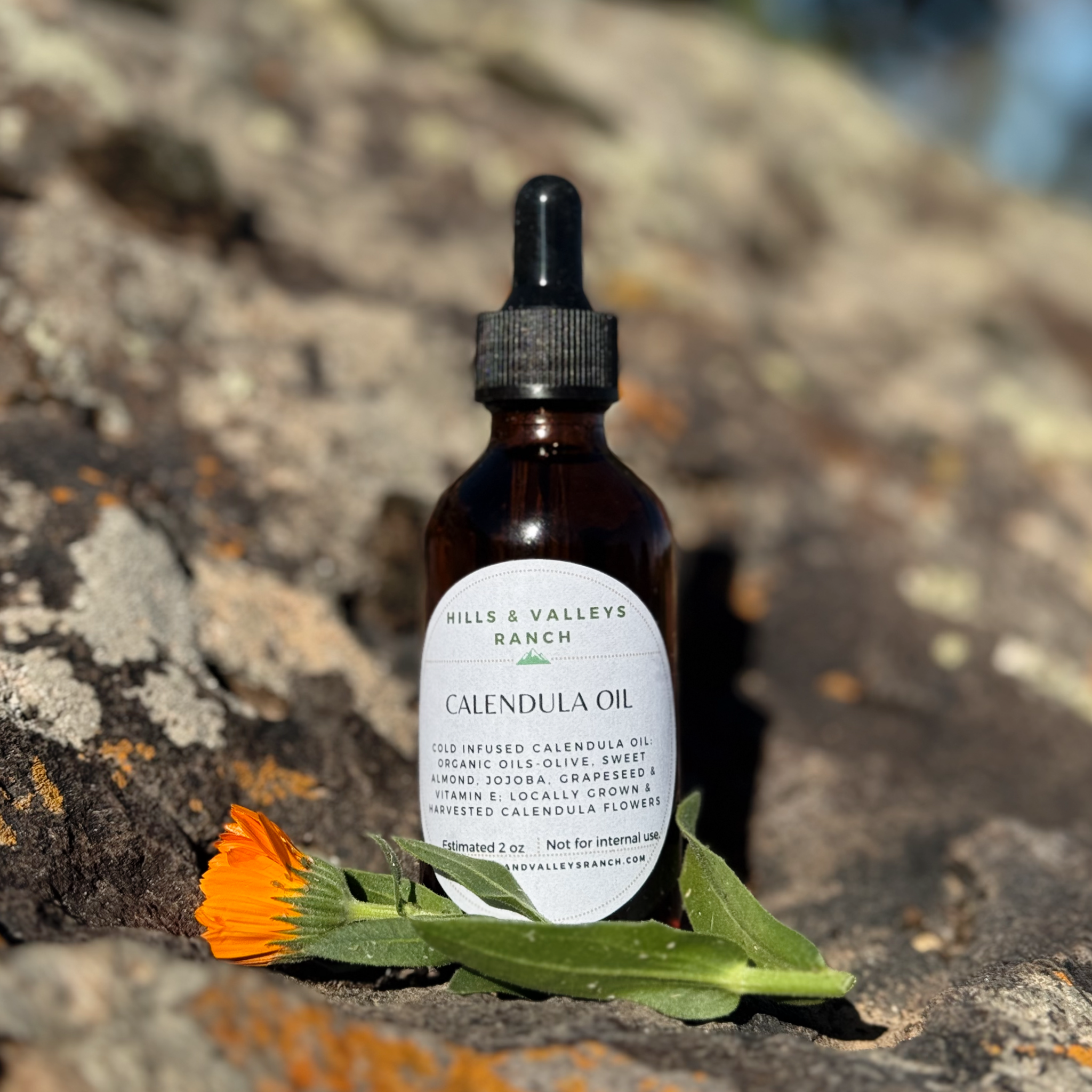 Calendula Infused Oil