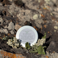 Bug Bite Balm