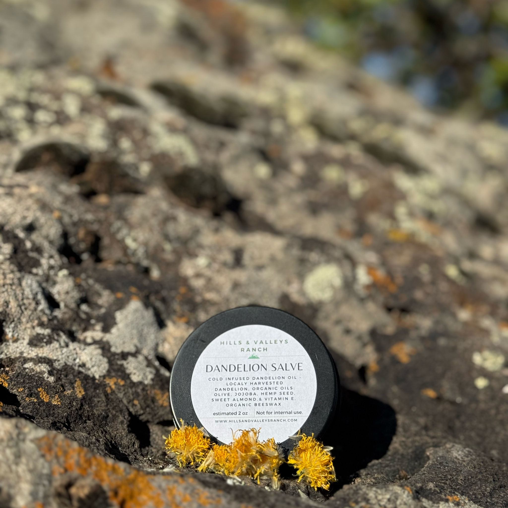 Dandelion Salve