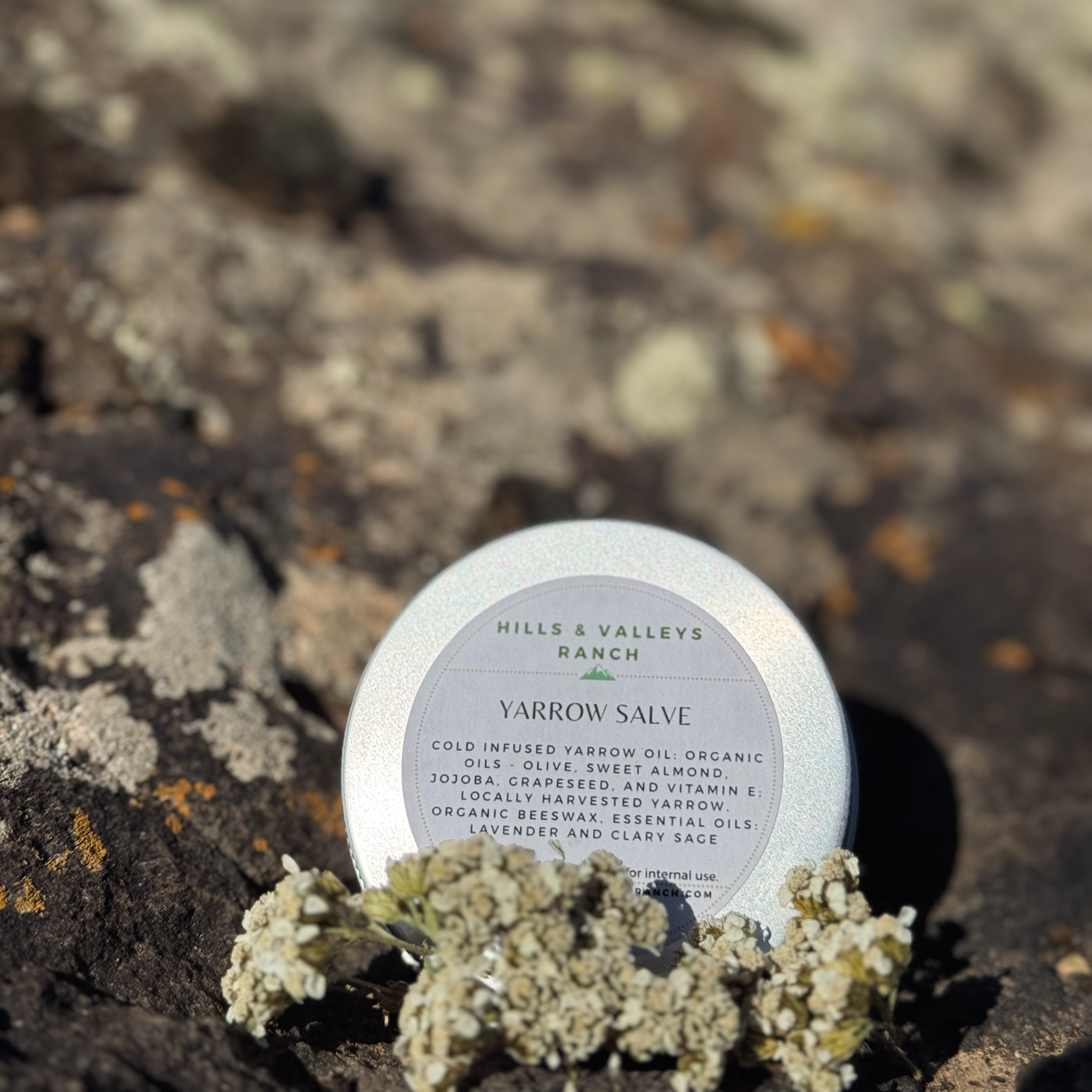 Yarrow Salve